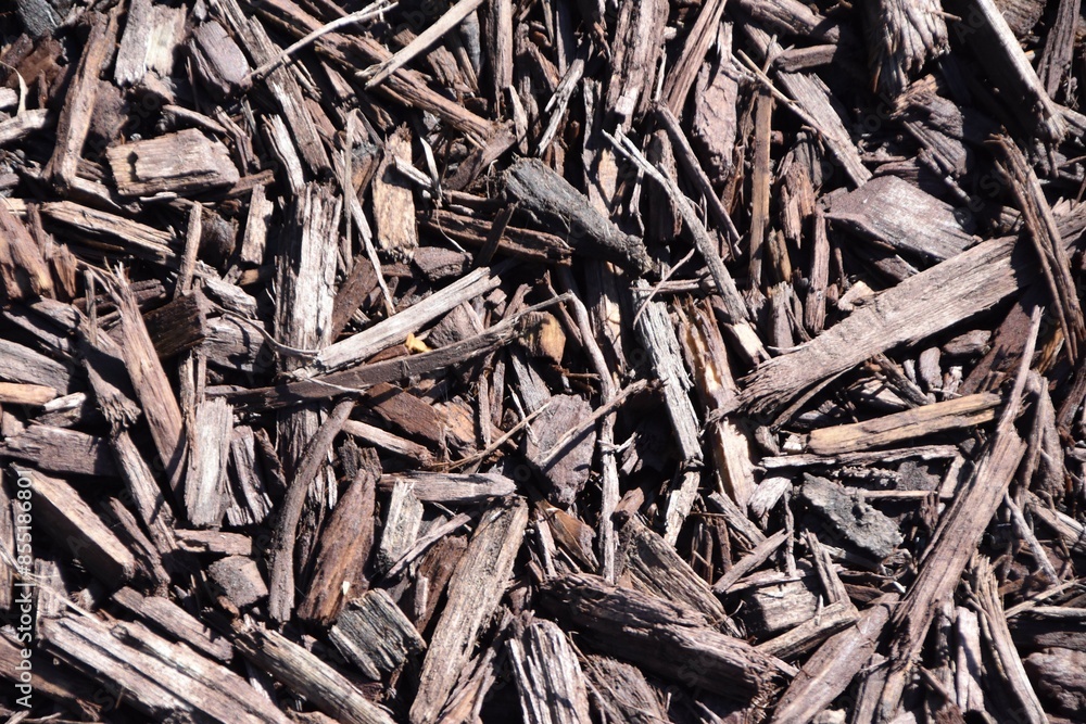 background of wood shavings texture mulch background of wood shavings texture mulch