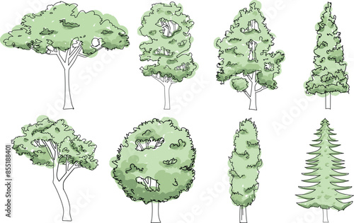 Drawing trees in line art. Hand drawn doodles trees and bushes.tree sketches summer spring trees isolated on white.