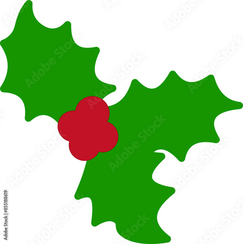 Holly