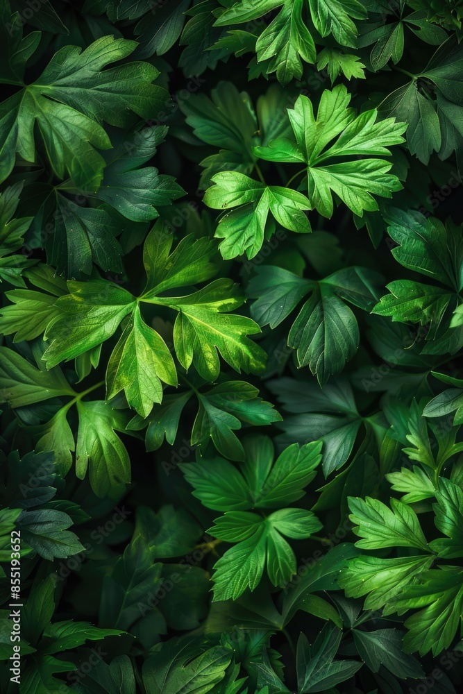 A detailed view of a cluster of green leaves with intricate veins and edges A detailed view of a cluster of green leaves with intricate veins and edges