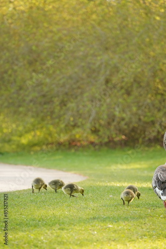 A picture clicked in Denmark