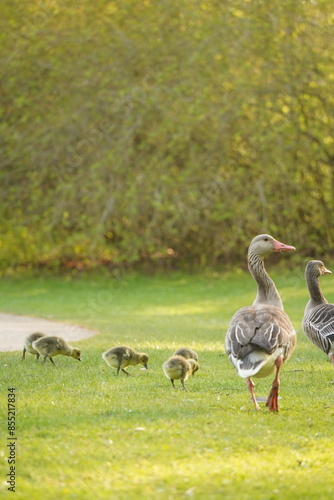 A picture clicked in Denmark