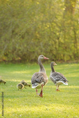 A picture clicked in Denmark