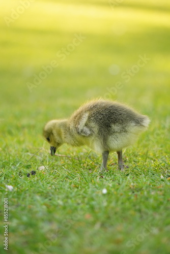 A picture clicked in Denmark