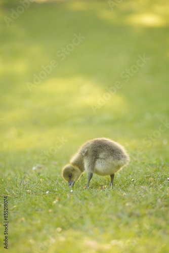 A picture clicked in Denmark