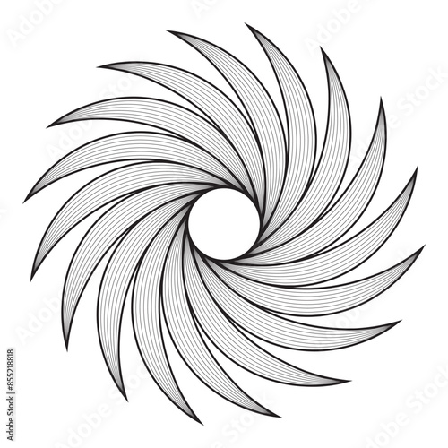 Hypnotic black and white pattern suggests movement and depth, like a spinning swirl photo