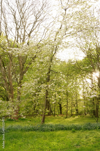 A picture clicked in Denmark