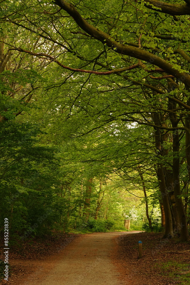 Fototapeta premium A picture clicked in Denmark