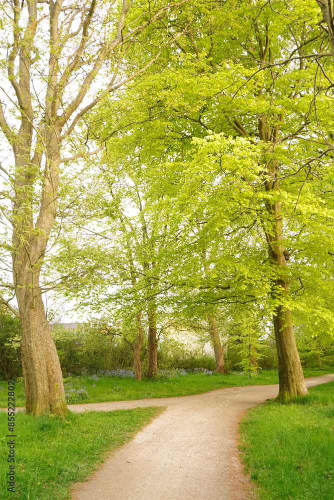 A picture clicked in Denmark A picture clicked in Denmark