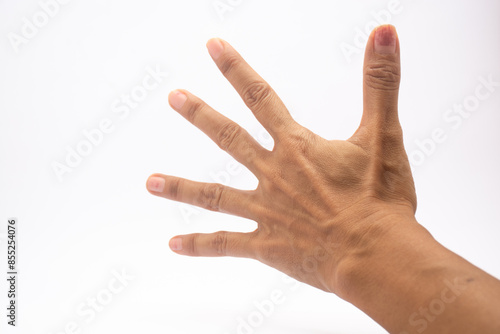 woman's hand with five fingers seen from the back of the hand isolated on white