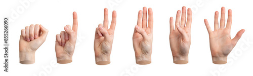 Hand counting fingers. zero, one, two, three, four, five, numbers isolated. Gestures for quantity, score, sign message. Palmar side views. nonverbal communication. white background, transparent PNG photo