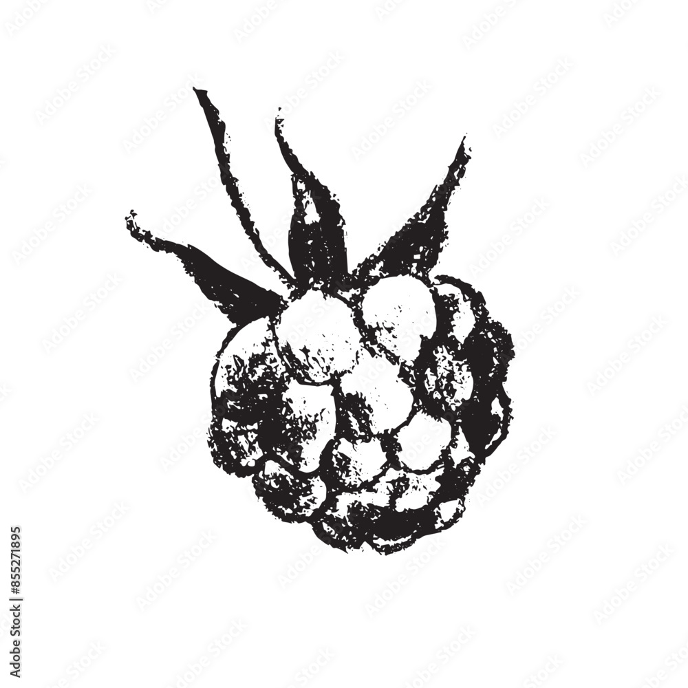 Raspberry symbol, raspberries illustration. Vector monochrome drawing of raspberries or blackberries drawn. Red berry icon for confectionery packaging. Blackberry sketch. Mulberry sign. Raspberry symbol, raspberries illustration. Vector monochrome drawing of raspberries or blackberries drawn. Red berry icon for confectionery packaging. Blackberry sketch. Mulberry sign.