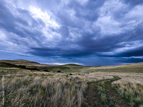 Andean meadow with the presence of approaching storm clouds.