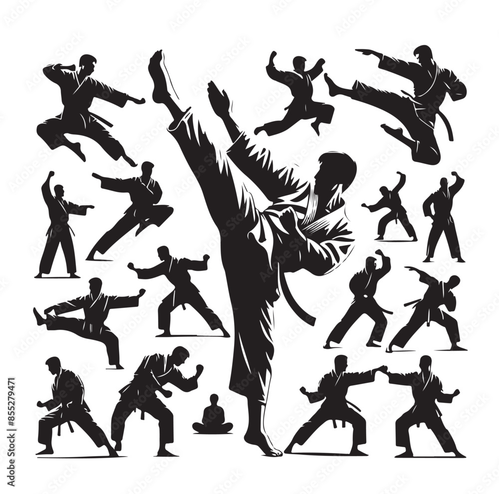 Set of Martial Arts Silhouette Vector Design