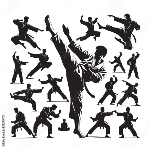 Set of Martial Arts Silhouette Vector Design