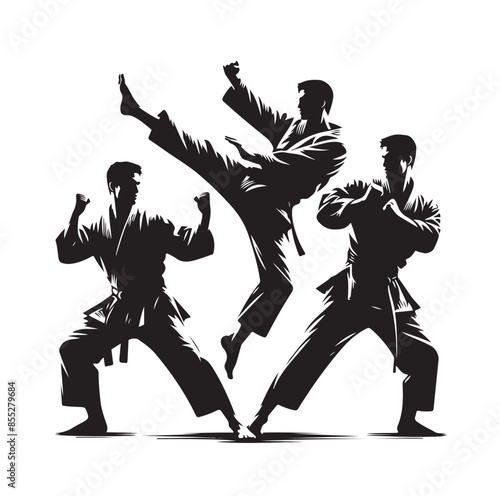 Set of Martial Arts Silhouette Vector Design