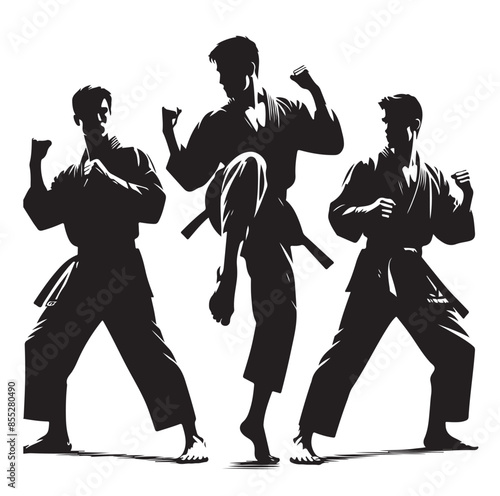 Set of Martial Arts Silhouette Vector Design