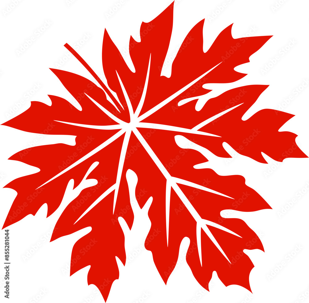 Obraz premium Leaves