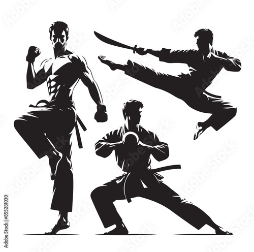 Set of Martial Arts Silhouette Vector Design