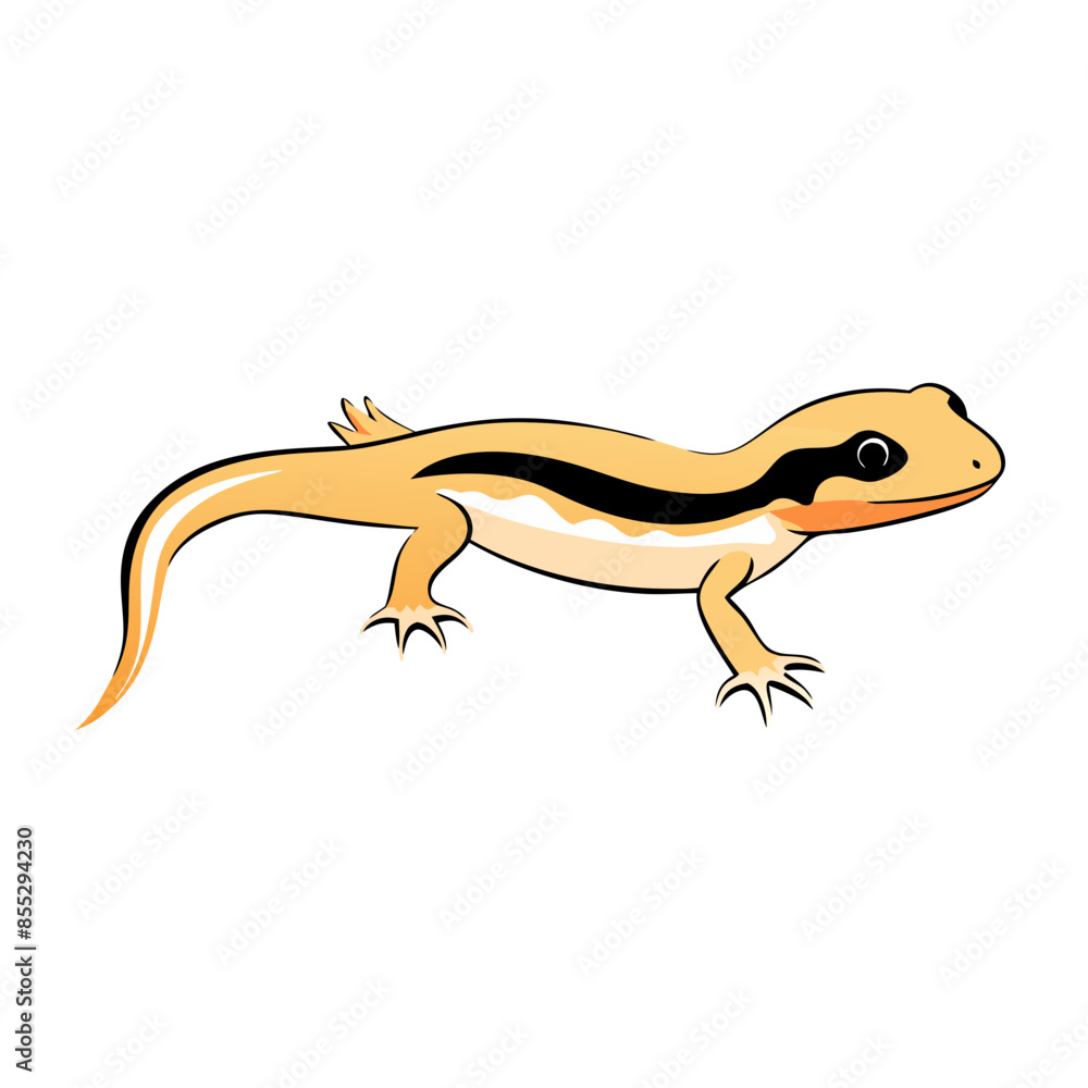 Simple vector illustration of a newt or salamander with spots, distinctive head shape. Simple vector illustration of a newt or salamander with spots, distinctive head shape.