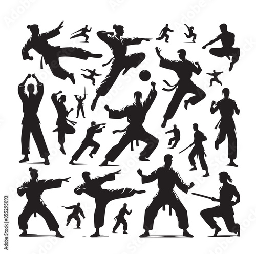 Silhouette of people isolated on white background. Wushu, kung fu, Taekwondo, Aikido. Sports positions. Design elements and icons. Vector illustration. Set