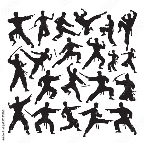 Silhouette of people isolated on white background. Wushu, kung fu, Taekwondo, Aikido. Sports positions. Design elements and icons. Vector illustration. Set
