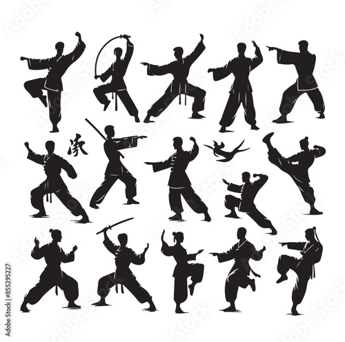 Silhouette of people isolated on white background. Wushu, kung fu, Taekwondo, Aikido. Sports positions. Design elements and icons. Vector illustration. Set