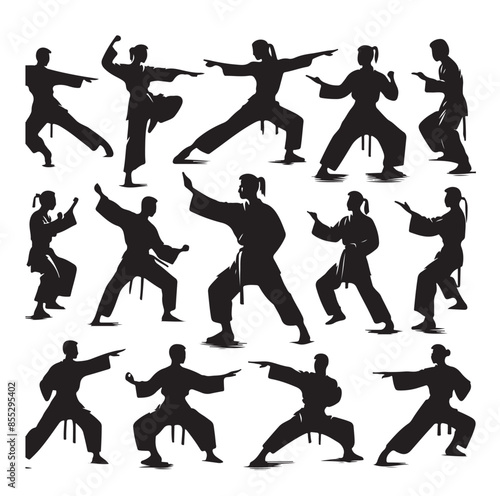 Silhouette of people isolated on white background. Wushu, kung fu, Taekwondo, Aikido. Sports positions. Design elements and icons. Vector illustration. Set