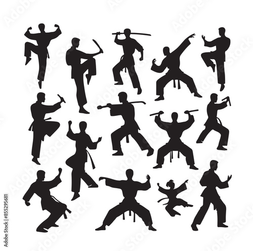 Silhouette of people isolated on white background. Wushu, kung fu, Taekwondo, Aikido. Sports positions. Design elements and icons. Vector illustration. Set