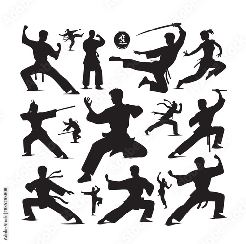 Silhouette of people isolated on white background. Wushu, kung fu, Taekwondo, Aikido. Sports positions. Design elements and icons. Vector illustration. Set