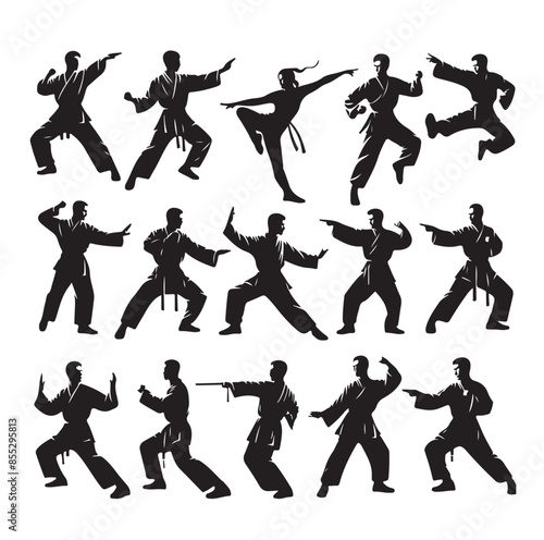 Silhouette of people isolated on white background. Wushu, kung fu, Taekwondo, Aikido. Sports positions. Design elements and icons. Vector illustration. Set