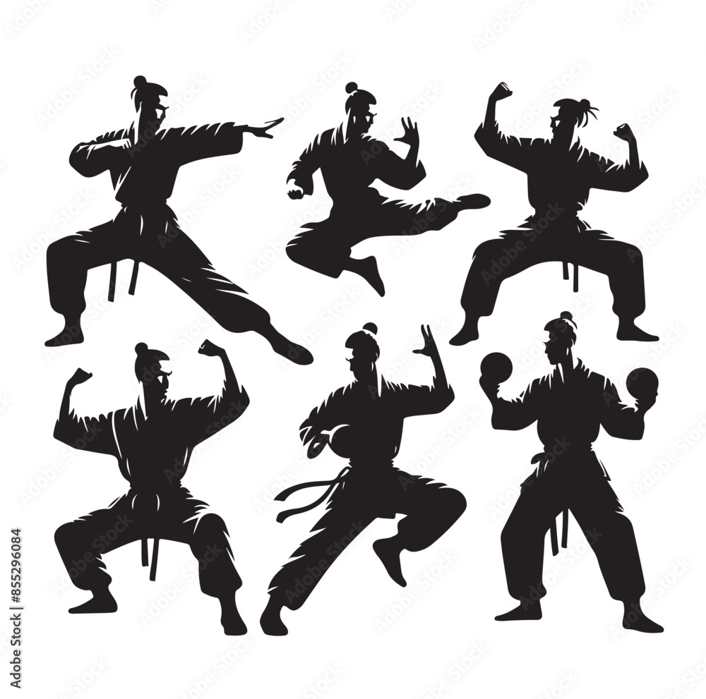 Silhouette of people isolated on white background. Wushu, kung fu, Taekwondo, Aikido. Sports positions. Design elements and icons. Vector illustration. Set Silhouette of people isolated on white background. Wushu, kung fu, Taekwondo, Aikido. Sports positions. Design elements and icons. Vector illustration. Set