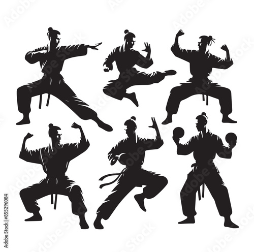 Silhouette of people isolated on white background. Wushu, kung fu, Taekwondo, Aikido. Sports positions. Design elements and icons. Vector illustration. Set