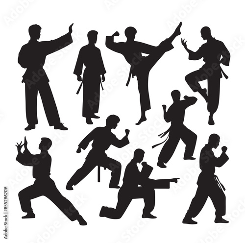 Silhouette of people isolated on white background. Wushu, kung fu, Taekwondo, Aikido. Sports positions. Design elements and icons. Vector illustration. Set