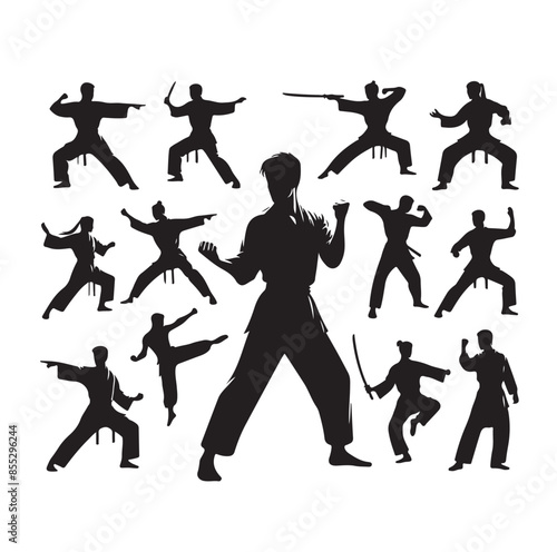 Silhouette of people isolated on white background. Wushu, kung fu, Taekwondo, Aikido. Sports positions. Design elements and icons. Vector illustration. Set
