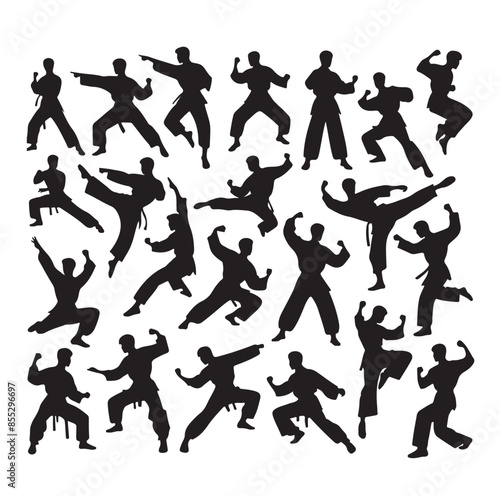 Silhouette of people isolated on white background. Wushu, kung fu, Taekwondo, Aikido. Sports positions. Design elements and icons. Vector illustration. Set
