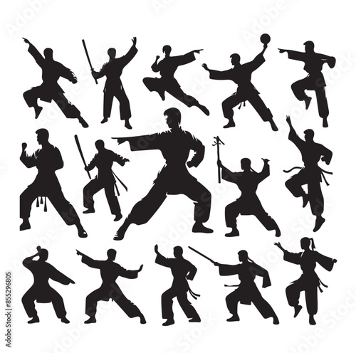 Silhouette of people isolated on white background. Wushu, kung fu, Taekwondo, Aikido. Sports positions. Design elements and icons. Vector illustration. Set