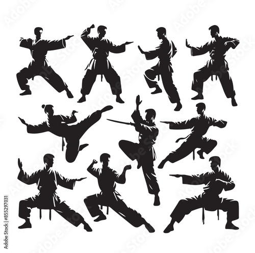 Silhouette of people isolated on white background. Wushu, kung fu, Taekwondo, Aikido. Sports positions. Design elements and icons. Vector illustration. Set