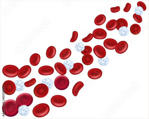 Red blood cells stream. Healthy human platelets, red and white blood cells under microscope. Magnified  of platelets cells in blood plasma. 3d illustration. Vector illustration EPS 10