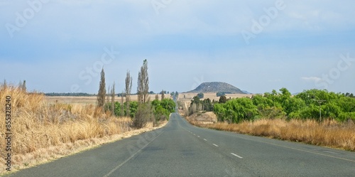 Rural road near the town of Reitz in the Freestate Province of South Africa