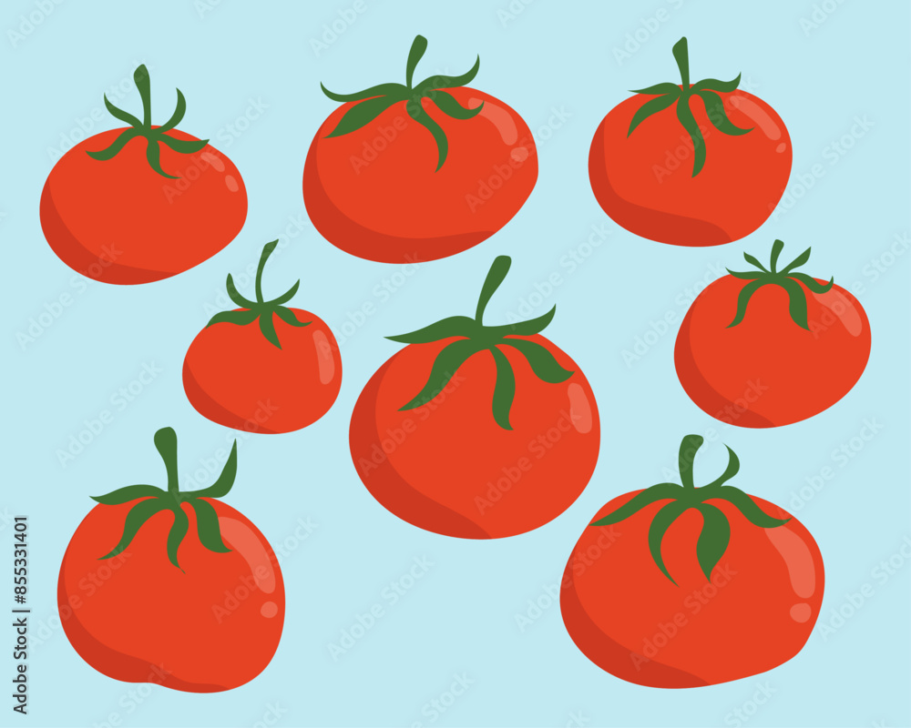 Tomatoes Vector Cute Playful Illustrations Set Tomatoes Vector Cute Playful Illustrations Set