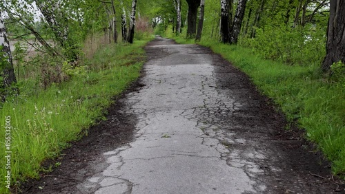 Old narrow asphalt road in among fish ponds in Silesia region of Poland, 4k video photo