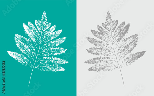 Ink stamp impression of a fern leaf or plant with organic texture. Isolated leaf print for floral art or pattern.
