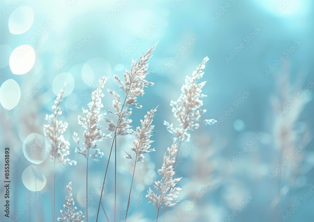 Blurred Background Nature Scene Fluffy Plants Grasses Field of Flowers Bokeh Depth of Field Soft Focus Spring Blurred Background Nature Scene Fluffy Plants Grasses Field of Flowers Bokeh Depth of Field Soft Focus Spring