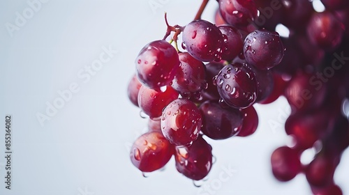Trauben Weintrauben rot Früchte Frucht Obst Freisteller freiges.  photo