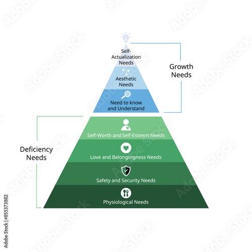 deficiency needs and growth needs to hierarchy needs include physiological needs, safety, love, self esteemed, aesthetic, self actualization