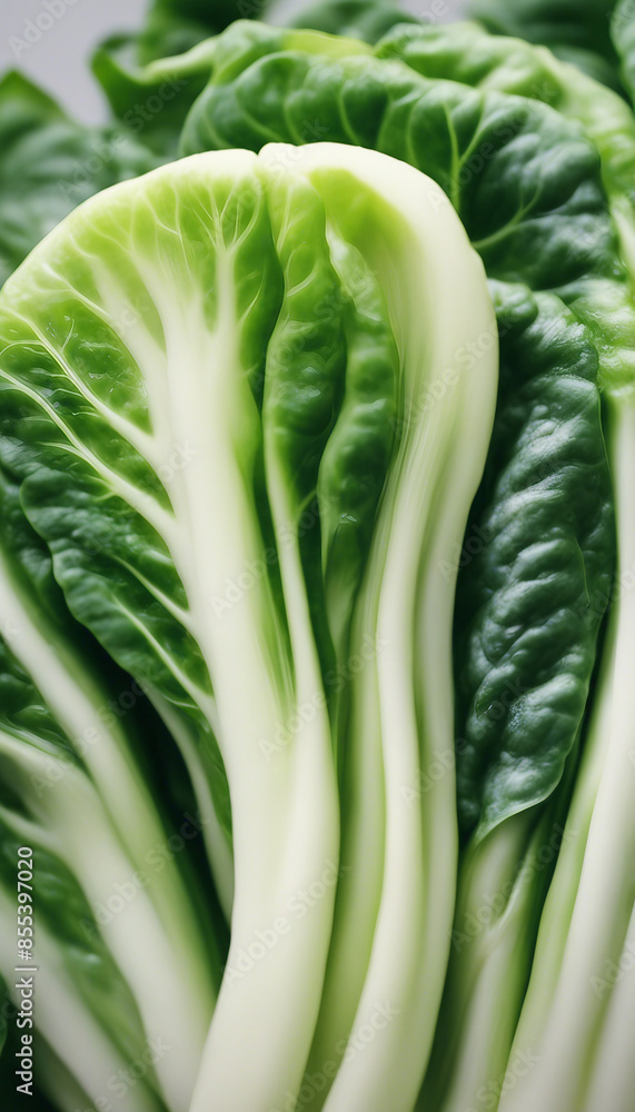 Bok choy half slice vegetable plant food Bok choy half slice vegetable plant food