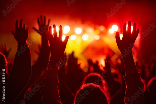 Cheering anonymous crowd at some concert