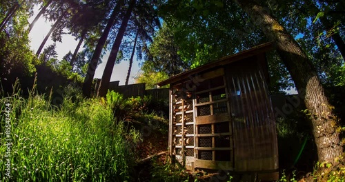 Woodshed Forest Sun Trees Dawn Dusk Sunlight Timelapse Shed