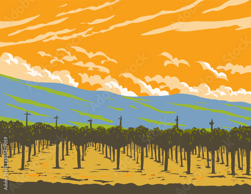WPA poster art of grapevine in vineyards of the Napa Valley wine region north of San Francisco, in California, United States USA done in works project administration or federal art project style.
